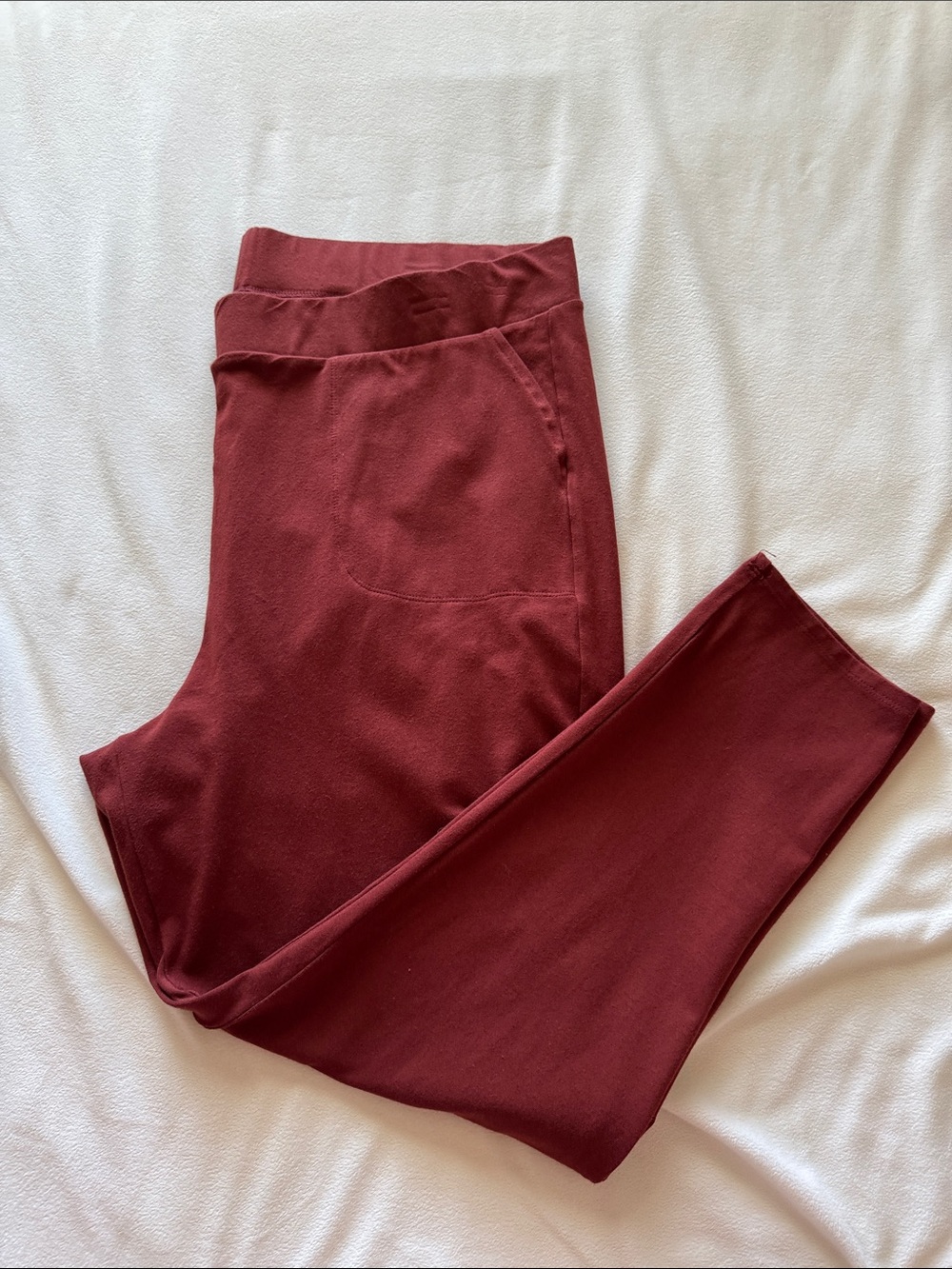 Torrid knit pants